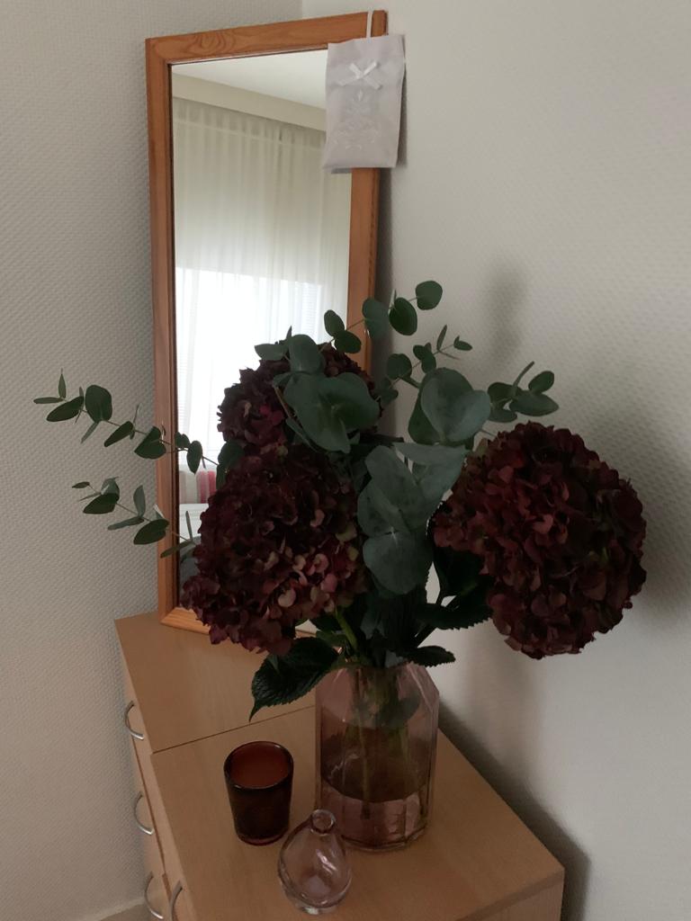 bedoormcloset