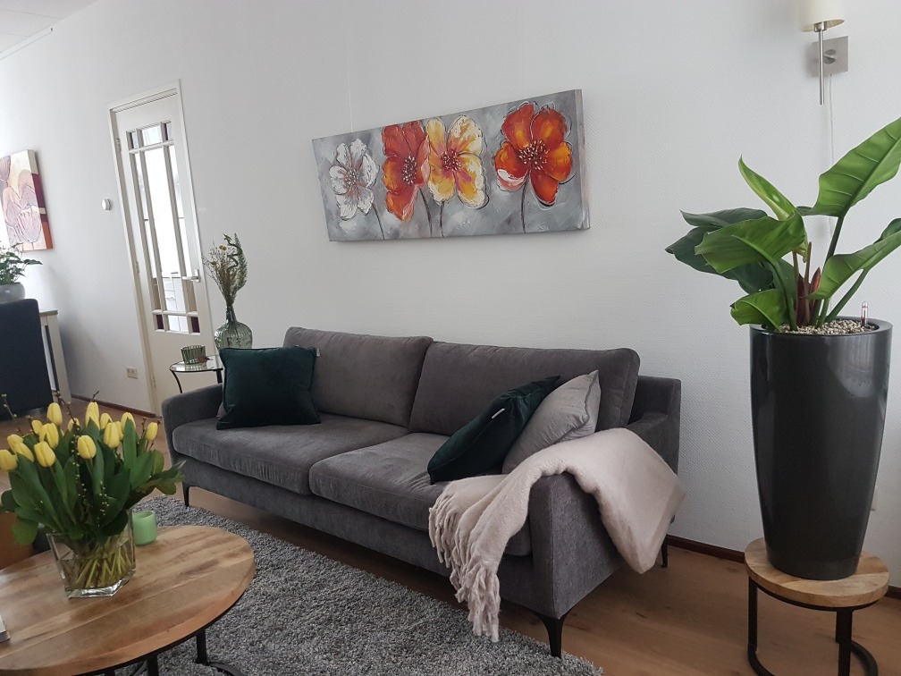 kamer04